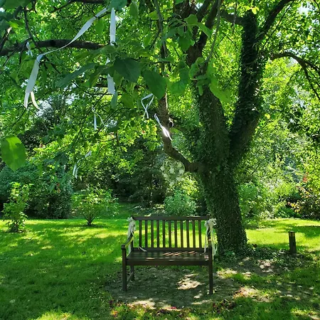Hof Apartament Dahnsdorf